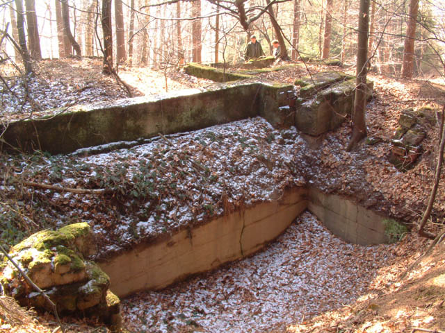 _30_4_16032003.JPG