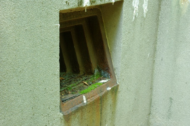 _5