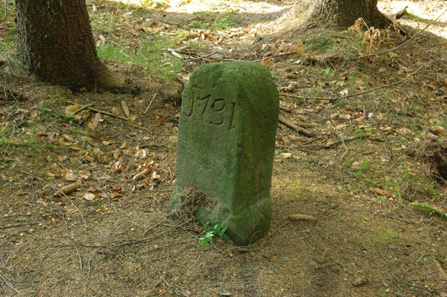 Foto 2.jpg