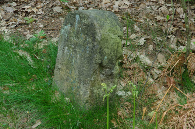 Foto 9.jpg