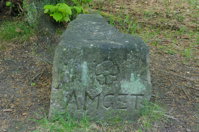 Foto 14.jpg