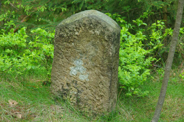 Foto 15.jpg